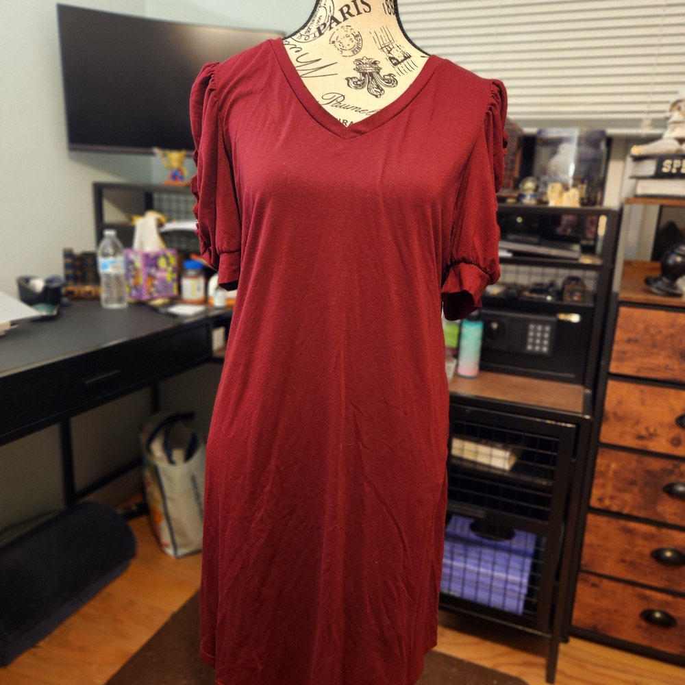 Ruched Sleeve V-Neck Dress